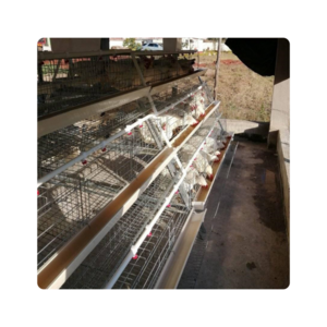 Galvanized Wire cage build chicken coops 3 Layer cage commercial chicken house poultry cage for sale