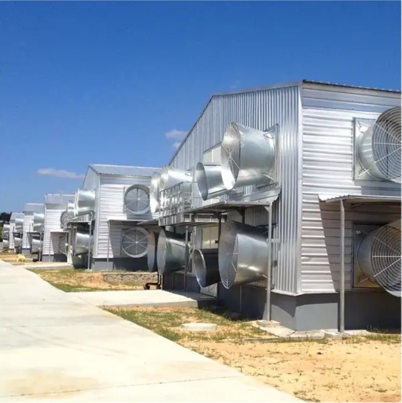 low Price Commercial Prefabricated Buildings Steel Structure Shed Poultry House  Layer Chicken House