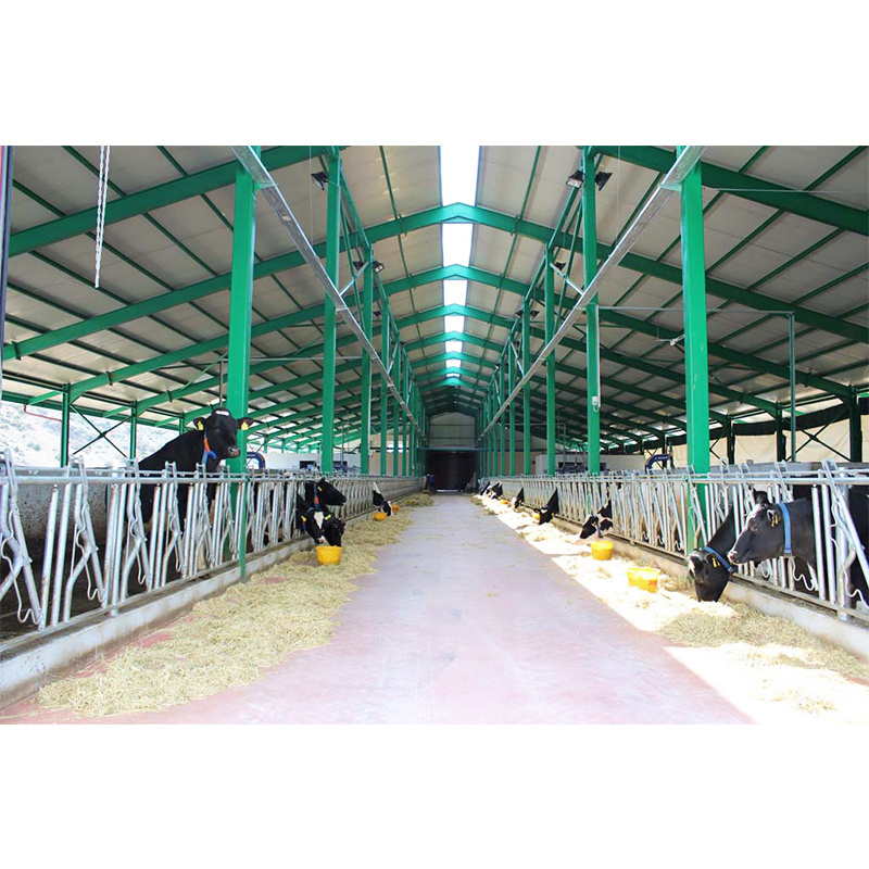 Prefab cow dairy farm housing cattle barn sheds for sale