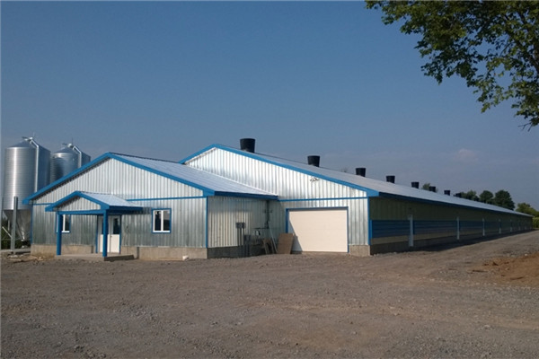 Steel structure dairy cattle shed trunkey project design for sale