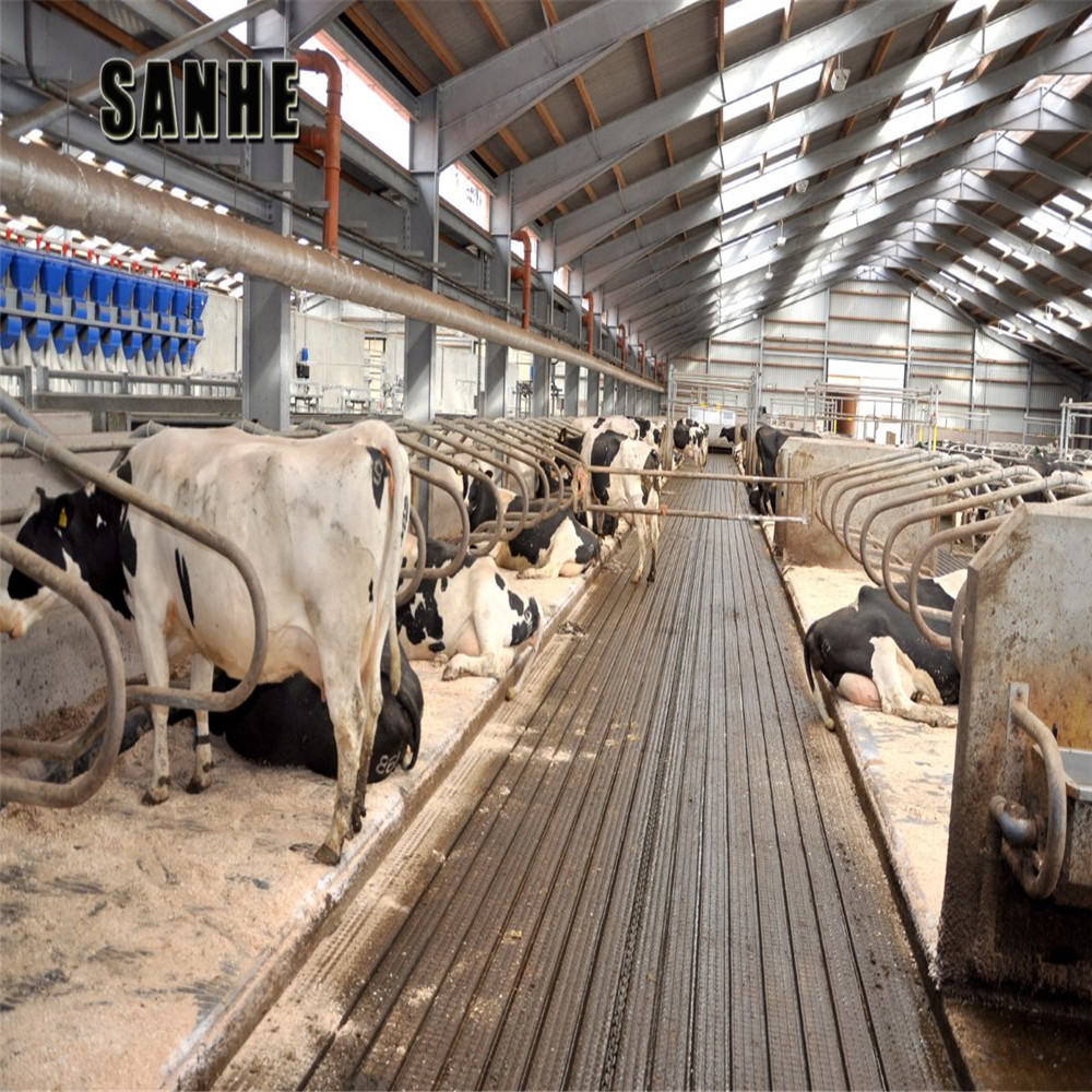 modern design steel structure cow cattle dairy milking farm shed building