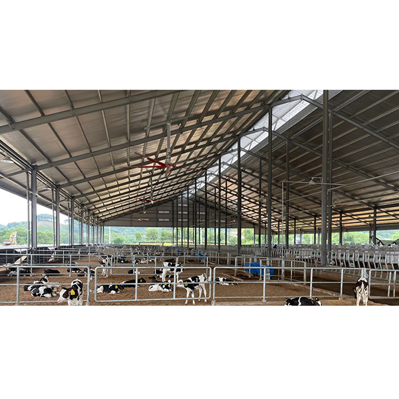 Prefab cow dairy farm housing cattle barn sheds for sale