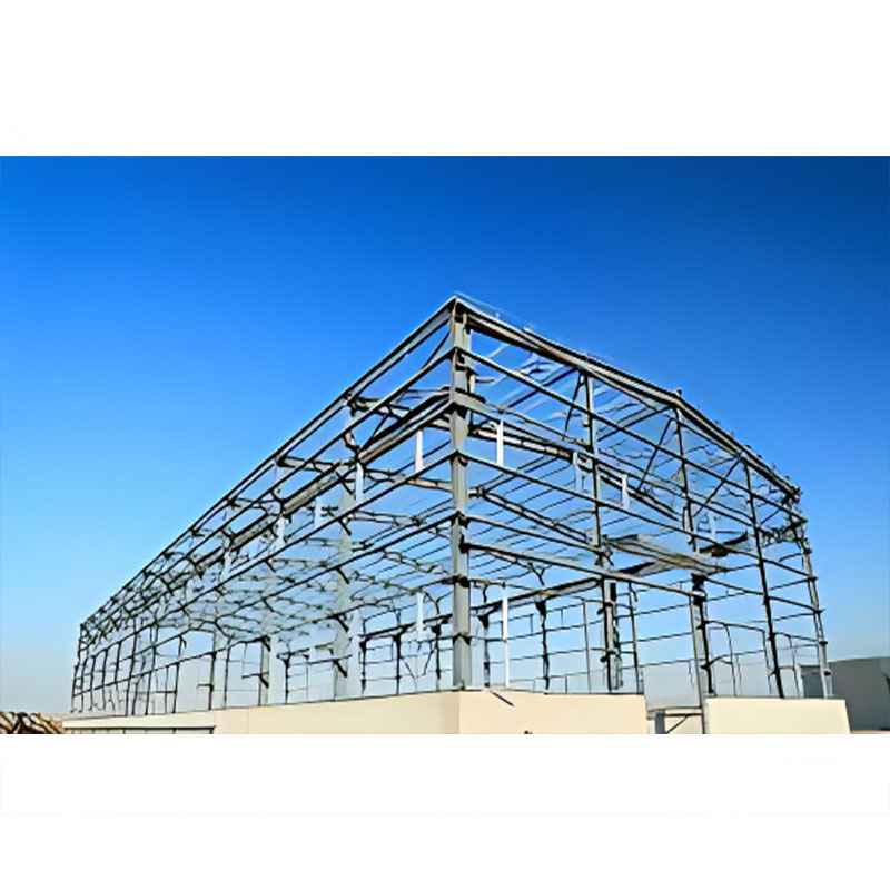 China Factory Price Prefabricated steel building  prefabricated factory plant light gauge steel structure