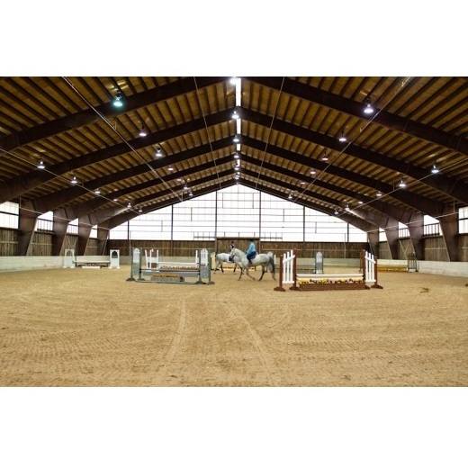 steel horse barn / horse stable / horse stalls