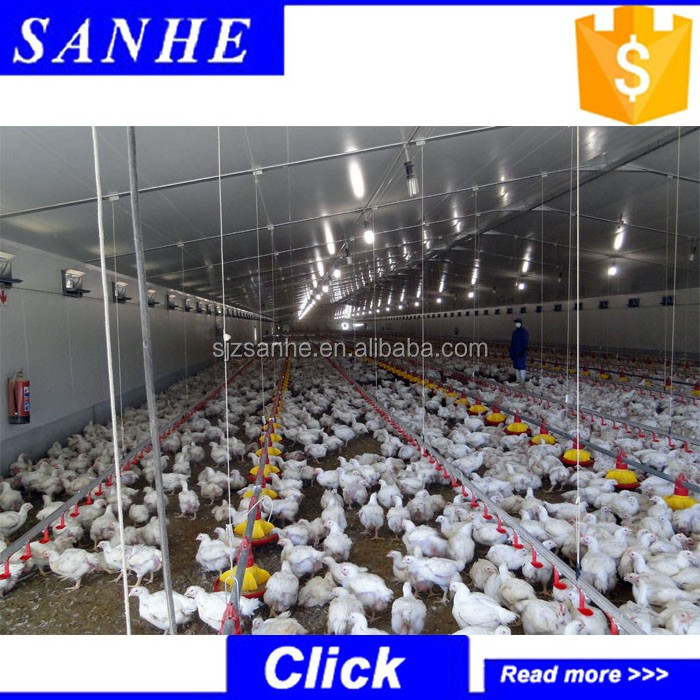 chinese  steel structure warehouse  manufacturer    /metal barn	/chicken barn