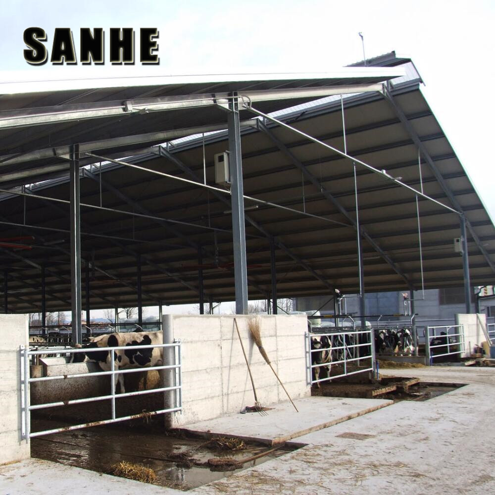 modern design steel structure cow cattle dairy milking farm shed building