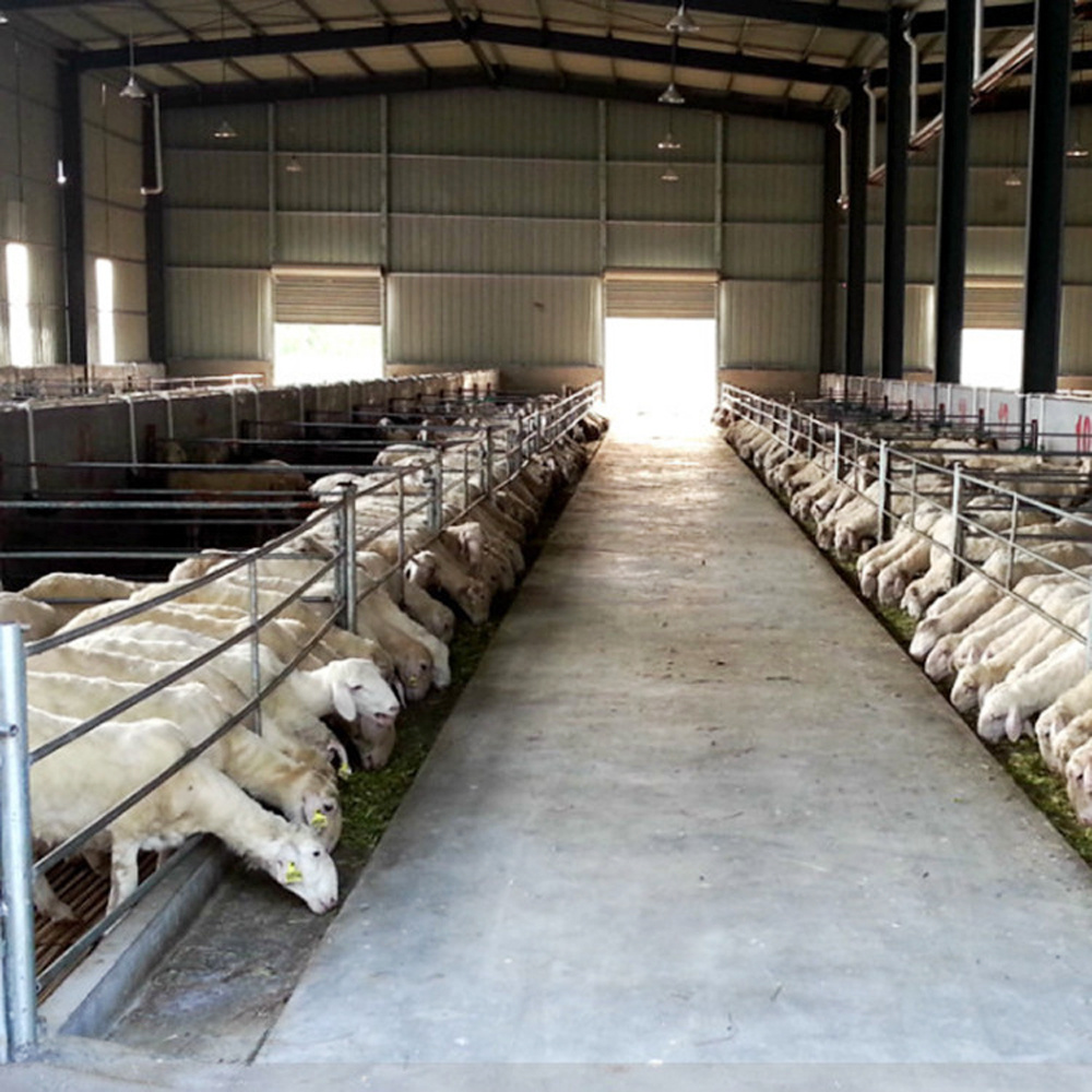 Goat shed permanent farming shed in Bangladesh for sale