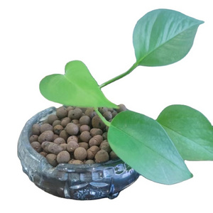 promotion Substrate Expanded Clay Pebbles Soil Pop Balls Hydroponic  Balls