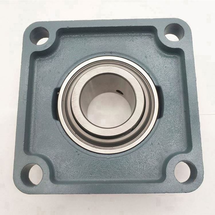 16211.202 Plummer Block Housing and Bearing Unit F16211.202 F211