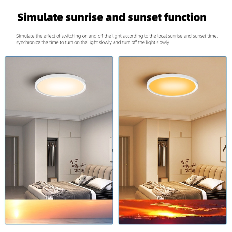 Smart led ceiling ultra thin Alexa Tuya wife Speaker Flush Mount CCT Dimmable RGB back light Room Ambient 24w smart home lights