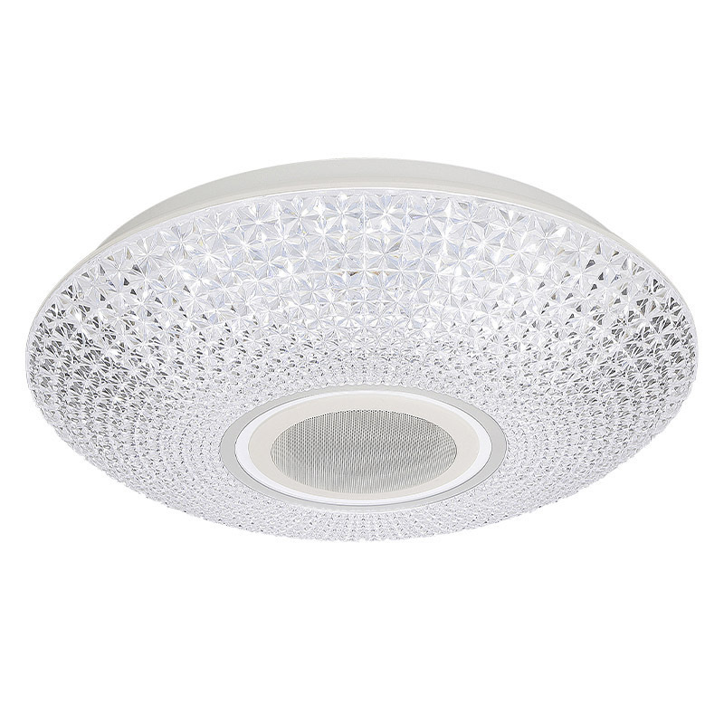 Smart Ceiling Light Fixture 36W APP Remote Control Color Changing Ceiling Lamp with Bluetooth Speaker Flush Mount Lighting LED