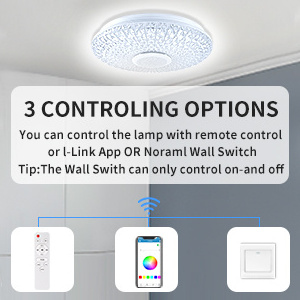 Smart Ceiling Light Fixture 36W APP Remote Control Color Changing Ceiling Lamp with Bluetooth Speaker Flush Mount Lighting LED