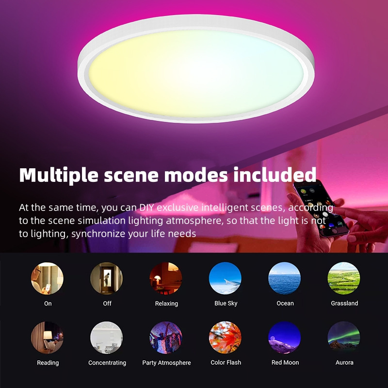 Smart Home Light 30W LED RGB Ceiling Light with RGBIC Backlight WIFI  BT APP AC100-240V Timer Works with Alexa Google Assistant