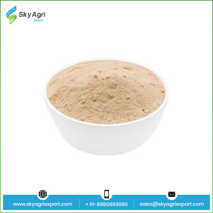 First Grade Dehydrated Vegetables Wholesale Price Dried Garlic Powder From Indian Manufacturer