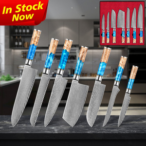 Amazon top selling 67 layer japanese professional chef knives sets vg10 damascus steel kitchen knife set with resin wood handle