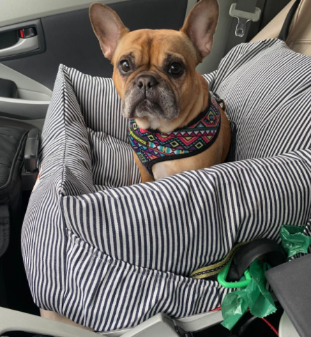 Pet Booster Seat Luxury Dog Car Seat Pet Travel Bed Safety Dog Bed for Car with Storage Pocket with Customized Logo