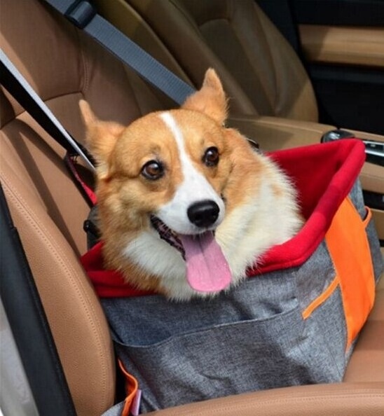 Portable Dog Car Mat Waterproof Pet Dog Car Seat Travel Pet Car Carrier Bag Seat with Safety Leash for Small Dogs Cats Puppy