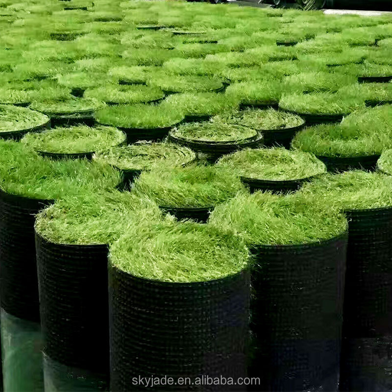 Factory Price  20m by 16m artificial turf grass for soccer