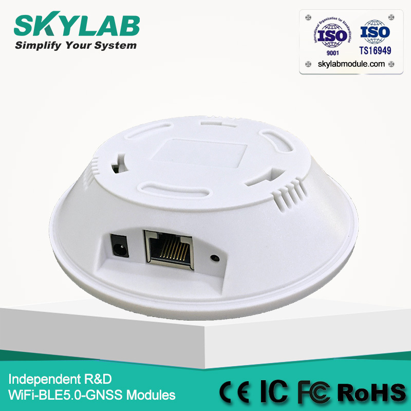 SKYLAB iot long range programmable bluetooth wifi gateway