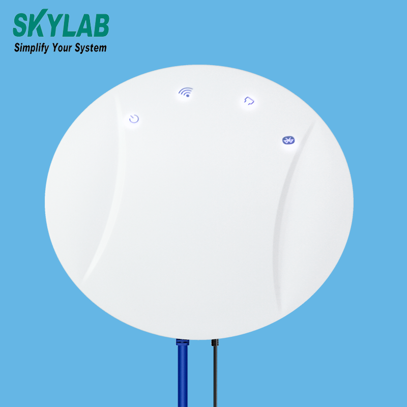 SKYLAB Other Communication long distance smart iot UWB  indoor positioning Development kit