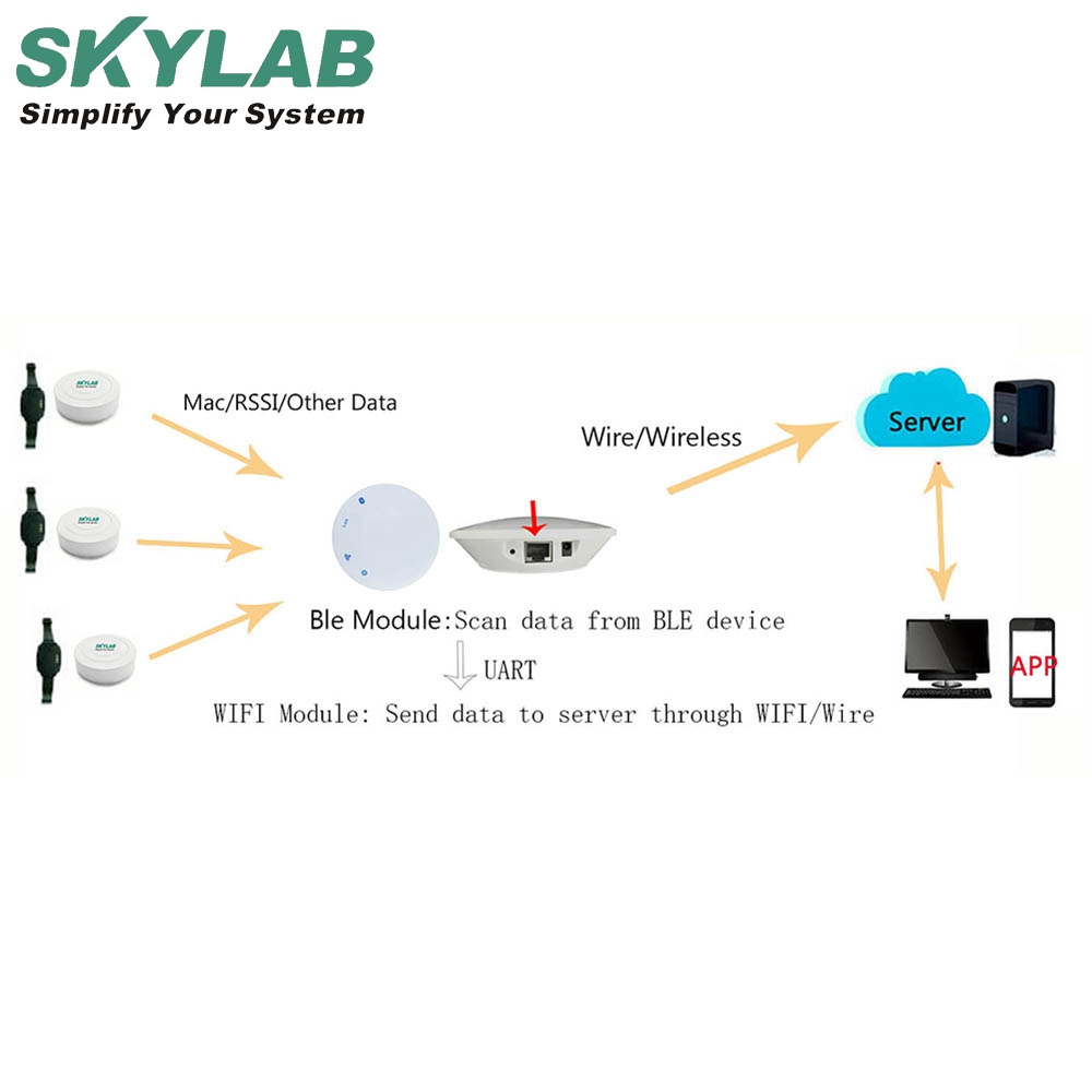 SKYLAB high quality Long Range BLE 5.0 Eddystone iBeacon Wifi Gateway