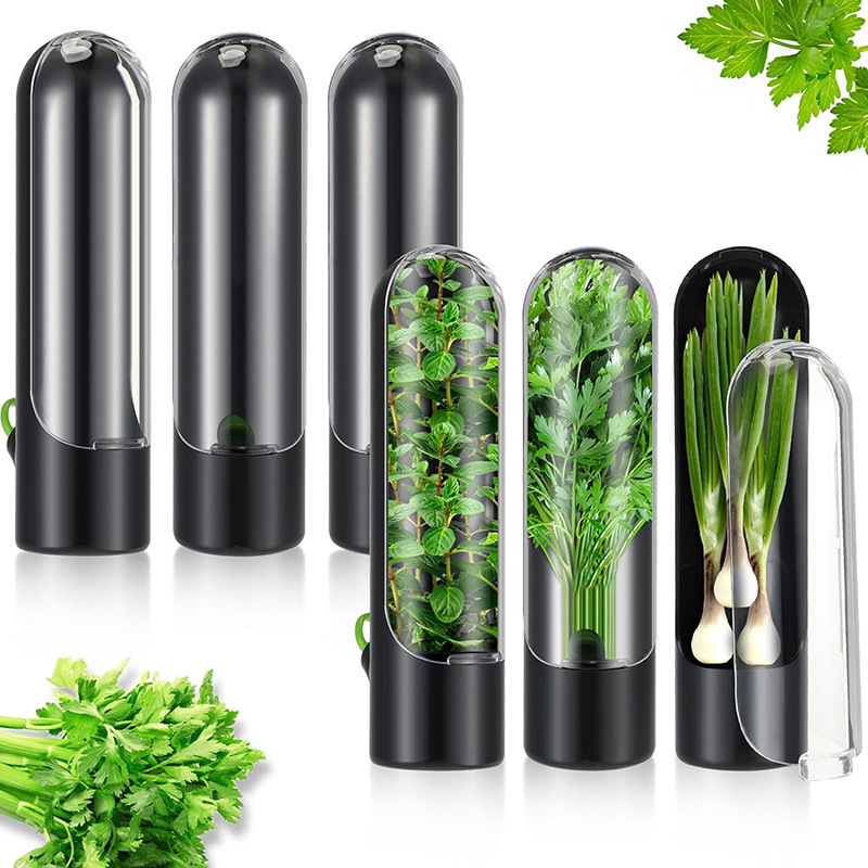 Fruit Vegetable Fresh-keeping Vanilla Crisper Storage Container Coriander Herb Saver Vegetable Preservation Bottle