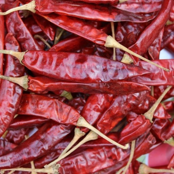 fresh stock of dry red chili use for cooking food processing ingredients Dubai UAE UK USA South Africa Mexico importers