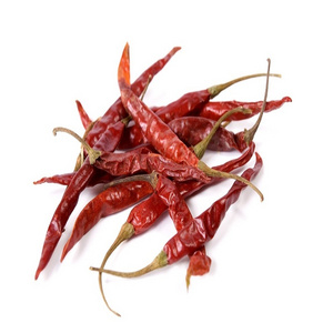 fresh stock of dry red chili use for cooking food processing ingredients Dubai UAE UK USA South Africa Mexico importers