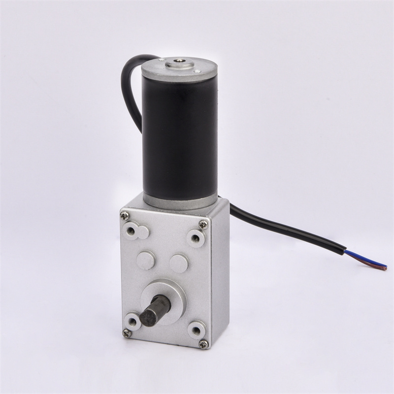 Manufacturer Customized 12V 24V Micro DC Gear Motor Worm Gearbox Motor electric motor with gear box reduction