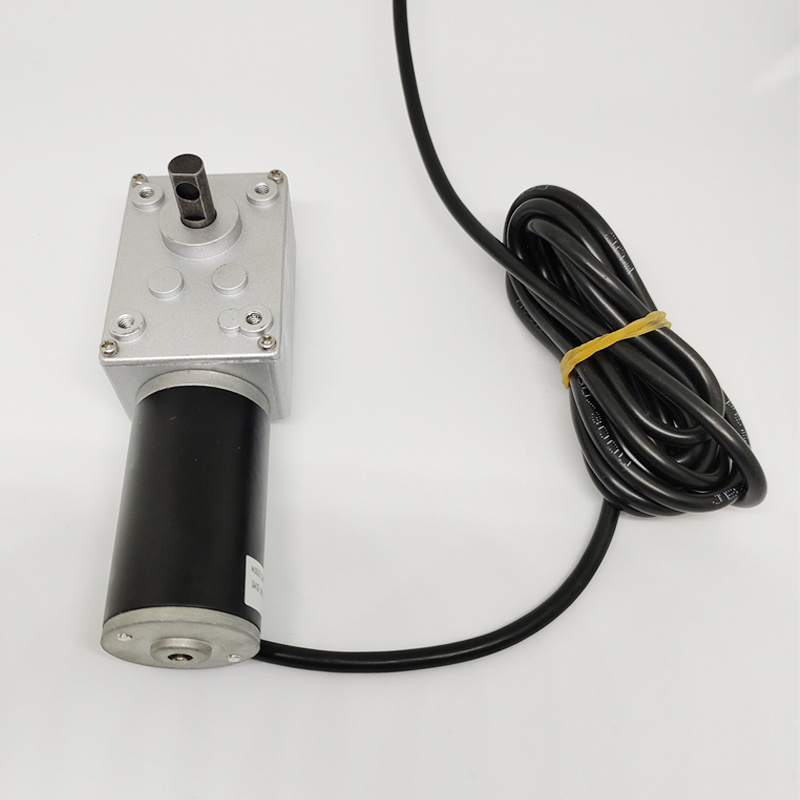 Manufacturer Customized 12V 24V Micro DC Gear Motor Worm Gearbox Motor electric motor with gear box reduction