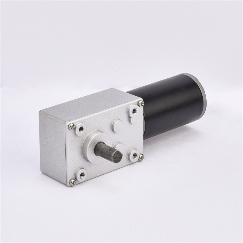 Manufacturer Customized 12V 24V Micro DC Gear Motor Worm Gearbox Motor electric motor with gear box reduction