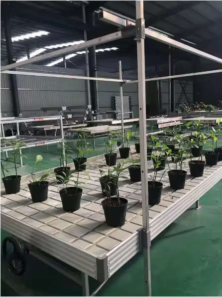 Top Quality Movable 4x8 Flood Table Seedbed Ebb and Flow Hydroponic Greenhouse Grow Table Flood Grow Table Rolling Bench