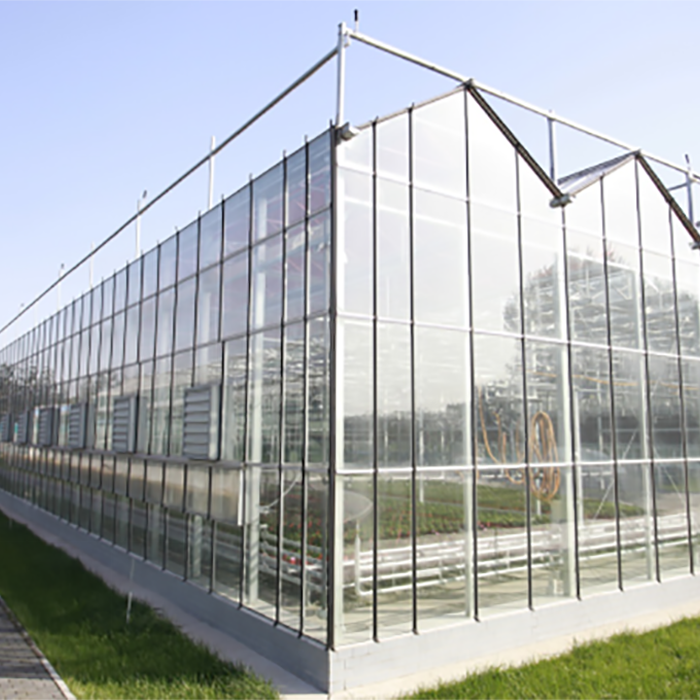 Agricultural Greenhouse  Venlo Glass Agricultural Green house shade green house for plants/vegetable/flowers