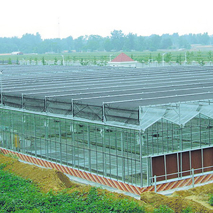 Agricultural Greenhouse  Venlo Glass Agricultural Green house shade green house for plants/vegetable/flowers