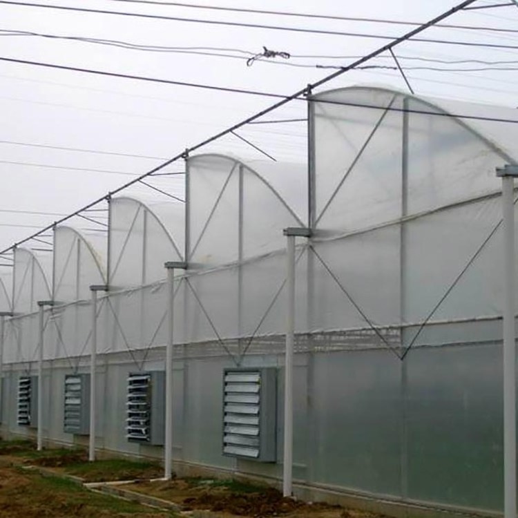 Skyplant turnkey multi span film green house greenhouse structure commercial used greenhouse frames for sale