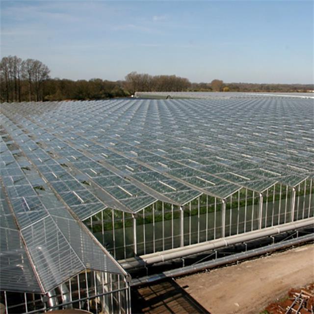 Agricultural Greenhouse  Venlo Glass Agricultural Green house shade green house for plants/vegetable/flowers