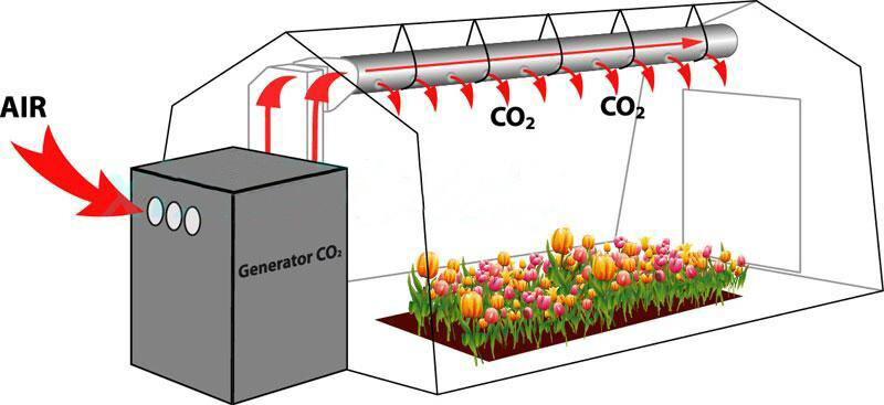 Skyplant Greenhouse 8 Burners Natural Gas Co2 Generator For Plants