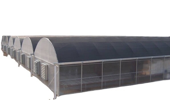 Skyplant turnkey multi span film green house greenhouse structure commercial used greenhouse frames for sale