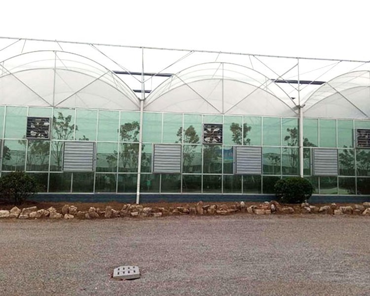 Skyplant Venlo Tempered Glass Greenhouse High Efficient Solar Greenhouse for sale