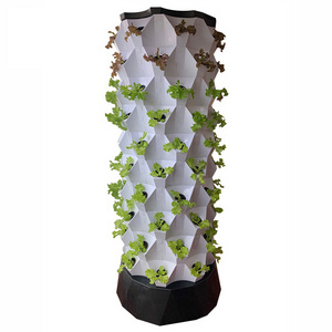 Home Garden vertical Grow Kit Indoor Grow System Hydroponics DIY Aeroponic Hydroponic Growing Systems