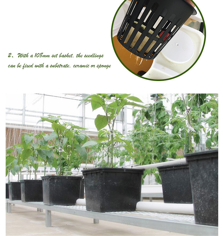 Mini Kit Complete Garden Hydroponic Tomato Dutch Bucket Grow system