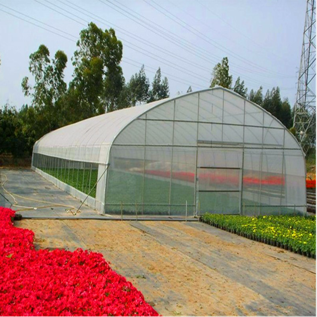 Galvanized Steel Frame  Polytunnel Tunnel Used Greenhouse frames for sale