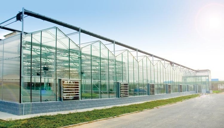 Skyplant Venlo Tempered Glass Greenhouse High Efficient Solar Greenhouse for sale