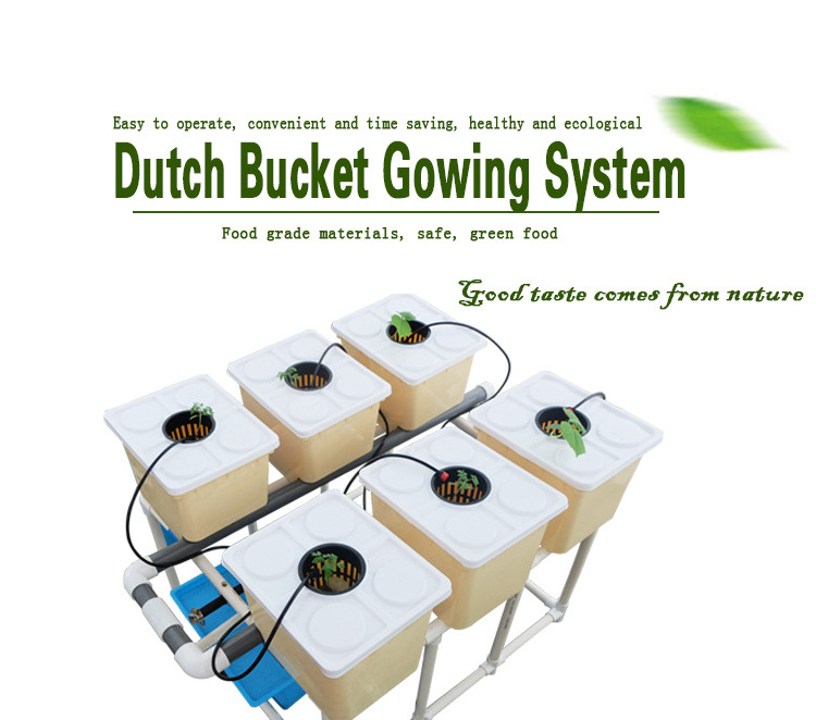 Mini Kit Complete Garden Hydroponic Tomato Dutch Bucket Grow system