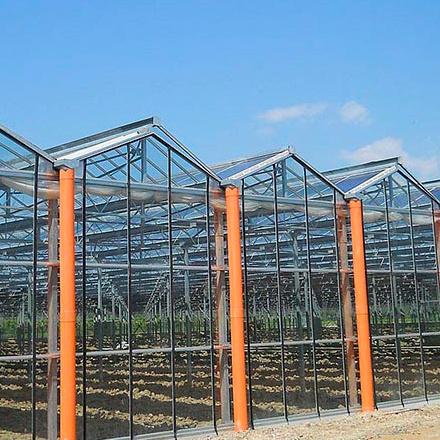 Skyplant Venlo Tempered Glass Greenhouse High Efficient Solar Greenhouse for sale