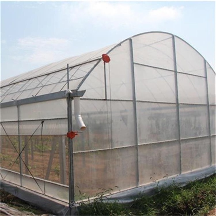 Galvanized Steel Frame  Polytunnel Tunnel Used Greenhouse frames for sale