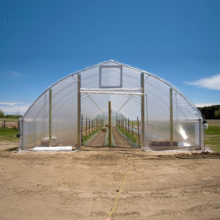 Skyplant Considerable Economical Greenhouse with Cooling System For Vegetable Grow Tents Agricultural Mushroom Tunnel Greenhouse