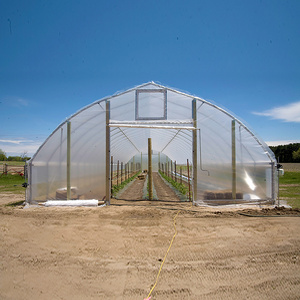 Skyplant Considerable Economical Greenhouse with Cooling System For Vegetable Grow Tents Agricultural Mushroom Tunnel Greenhouse