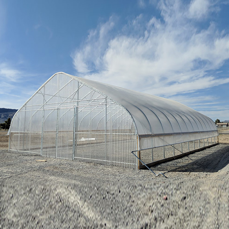 Skyplant Considerable Economical Greenhouse with Cooling System For Vegetable Grow Tents Agricultural Mushroom Tunnel Greenhouse