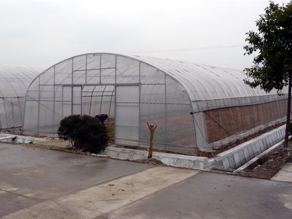 Galvanized Steel Frame  Polytunnel Tunnel Used Greenhouse frames for sale